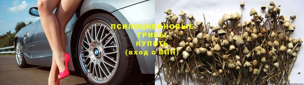мефедрон мука Коряжма
