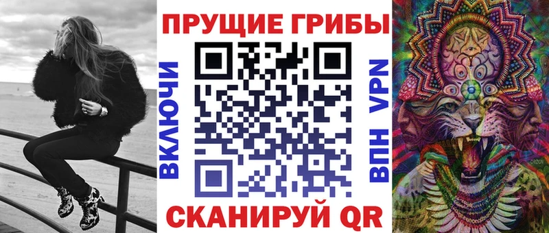 Купить  Гагарин  Галлюциногенные грибы GOLDEN TEACHER 